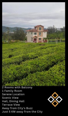 Drizzledale villa